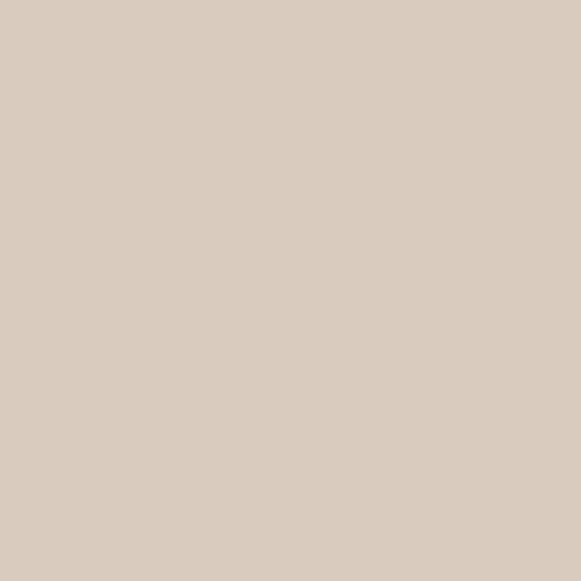 R1007 ANT