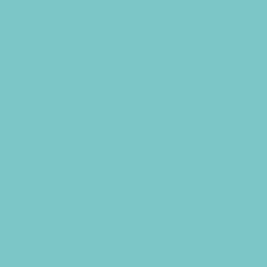 F5347 BRILLO