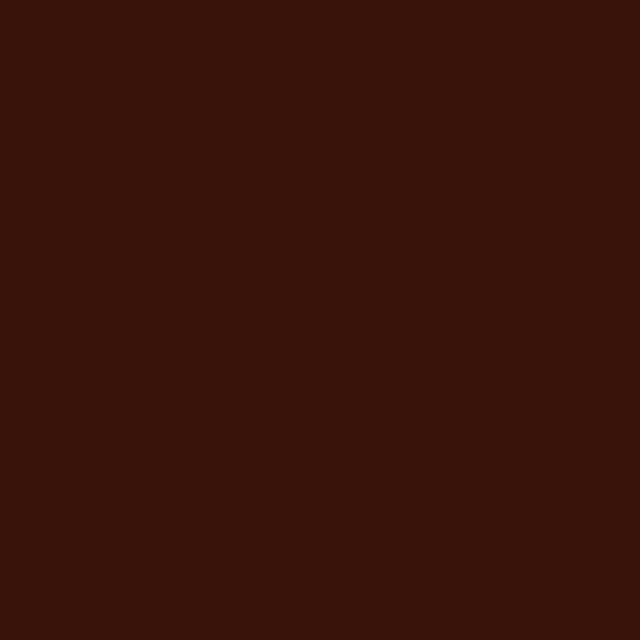 R0809 BRILLO
